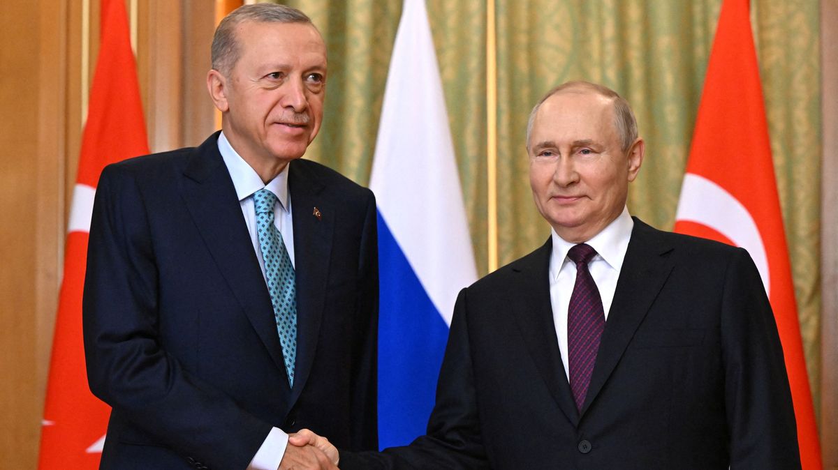 Erdogan blahopřál Putinovi, nabídl mu zprostředkování jednání s Kyjevem